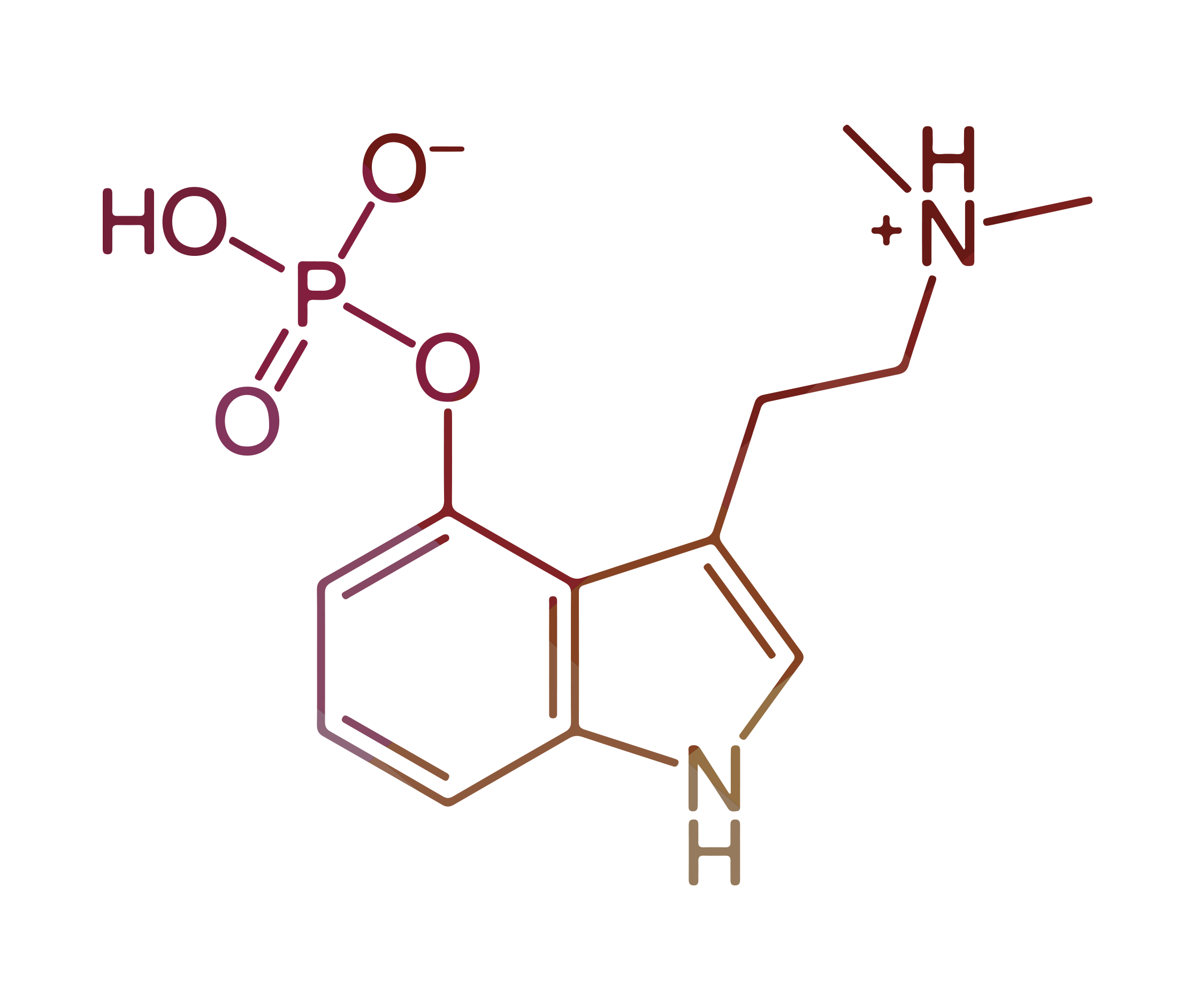 FORMULA-buying shrooms. What is psilocybin?