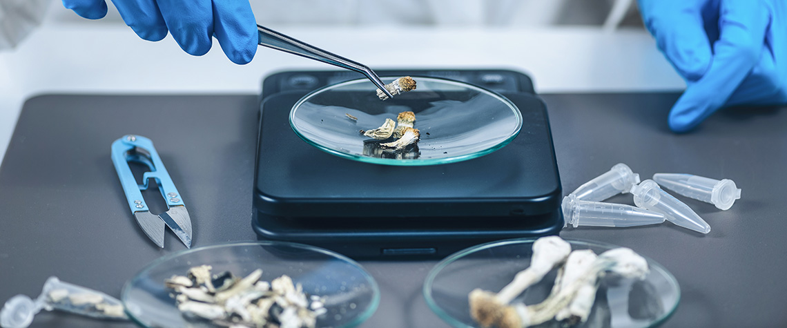 Measuring Psilocybin Magic Mushroom Micro Doses in Laboratory. How much does a gram of shrooms cost in Canada? How much does an eighth of shroom cost?